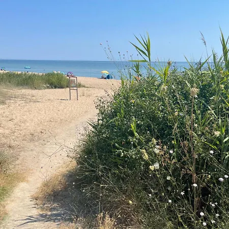 Complex Terazini 比亚拉