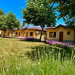 Complex Terazini