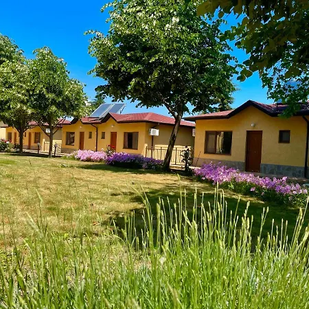 Complex Terazini
